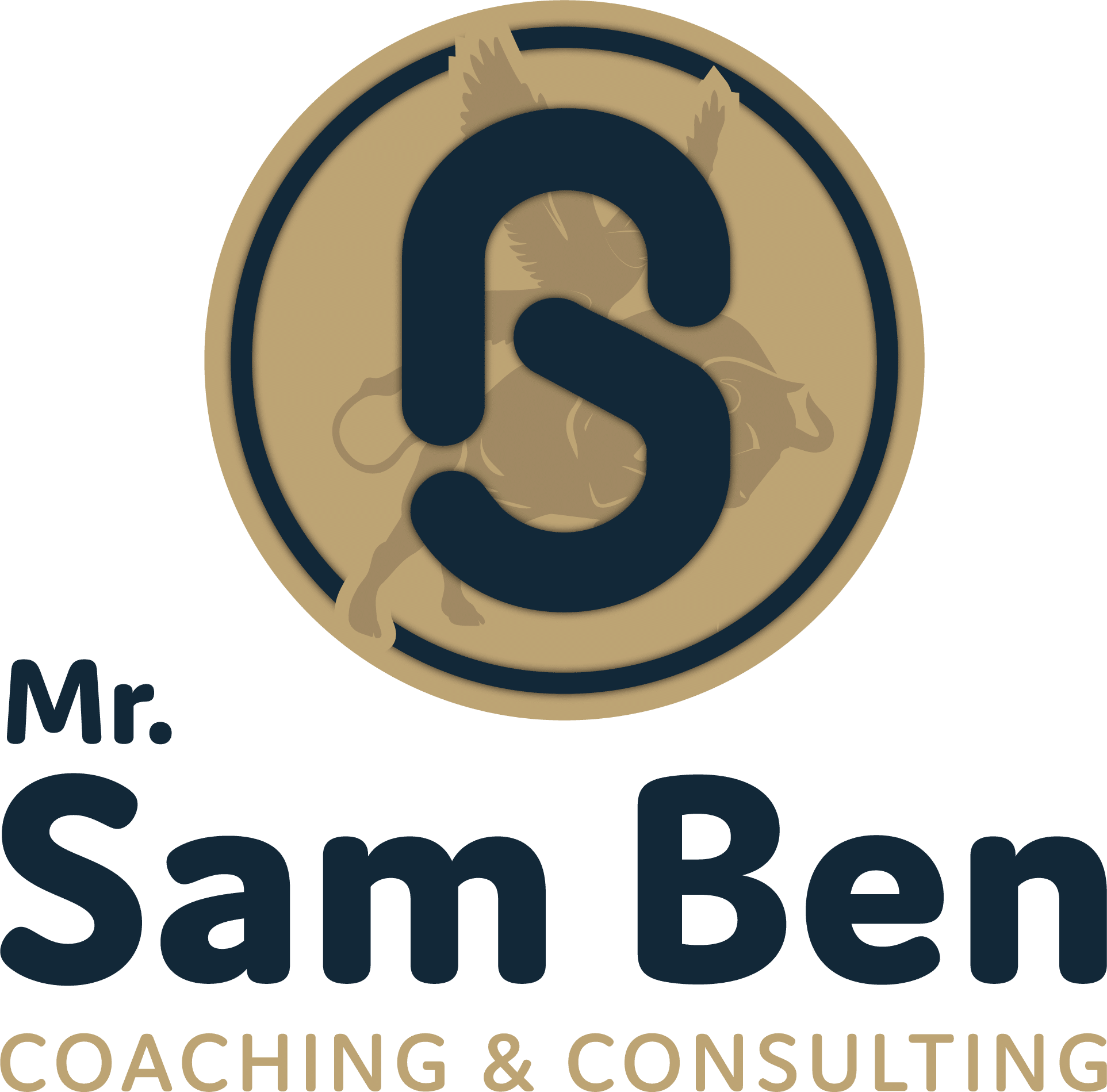 Logo filiale Mr Sam ben
